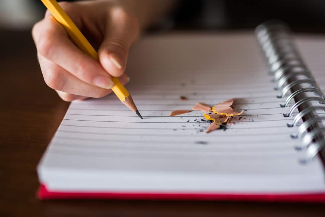 Comment choisir l’école de conduite qui vous mènera vers la route du succès ?