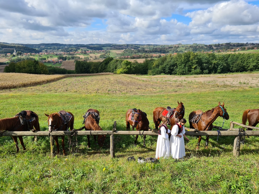 Pourquoi le tourisme rural est-il la nouvelle tendance à explorer ?